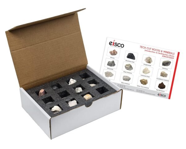 EISCO Kit de introducción a rocas sedimentarias de 12 piezas, incluye especímenes de 1 pulgada, ideal para aulas de geología y laboratorios de pruebas de campo básicos, rocas de corte técnico - Imagen 3